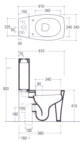 Sanitários Vitruvit Ice