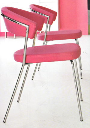 Cadeiras da sala de jantar, jantando cadeiras e os acessórios